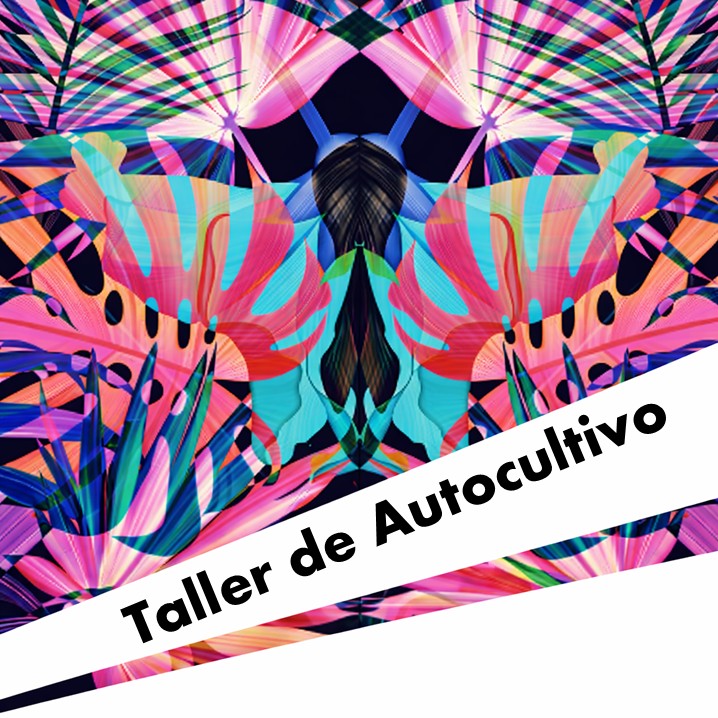 Taller de Autocultivo 2